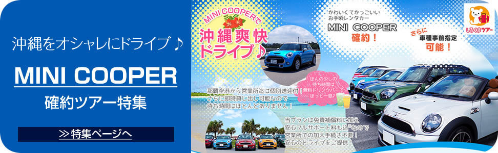 沖縄旅行には欠かせない、レンタカー付の選び方と気を付けること