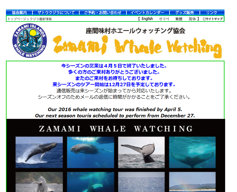 冬の沖縄の醍醐味!ホエールウォッチング