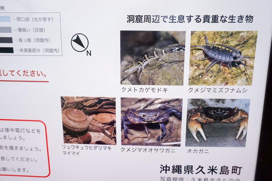 人骨も散らばる⁉ 鍾乳洞散策！「ヤジヤーガマ」で久米島の歴史を学ぶ